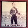 Garfield - December Roads