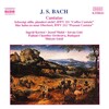 Ingrid Kertesi、Jozsef Mukk、István Gáti、Budapest Failoni Chamber Orchestra - Recitativo: Schweigt stille