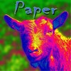 Paper - Rainbow