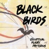Black Birds - Birds of A Feather