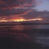 stephen bishop - Orch