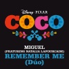 Miguel、Natalia LaFourcade - Remember Me (Dúo) (Steerner Remix)