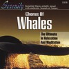 Roland Hanneman - Chorus of Whales