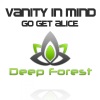 Vanity in Mind - Go Get Alice (Original Mix)
