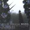 Egle Januleviciute、Piano - Bach: English Suite No. 2 in A Minor / Prelude