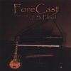 Forecast - Tin Man