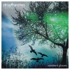 Stray Theories - Out The Window