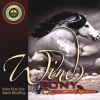 Robert Windpony - Sioux Love Song