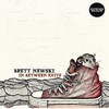 Brett Newski - Wet Pavement