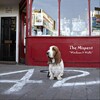 The Mispent - Can't Stop Myself