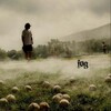 FOG - Mary Joseph Jesus