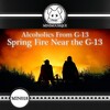 Alcoholics From G-13 - Spring Fire Near The G-13 (Original Mix)