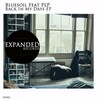 PLP、Bluesoil - Fallin Away (Original Mix)
