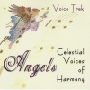 Voice Trek - To Be Sung of a Summer Night on the Water