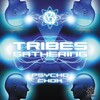 Psycho Chok - Tribes Gathering (Original Mix)