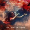 Pedro Costa - Conspiracy Theory (Original Mix)