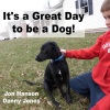 Jon Hanson、Danny Jones、Darrell Scott《It's a Great Day to Be a Dog (feat. Darrell Scott)》[MP3/LRC]