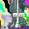 IV the Polymath - 10 Minutes