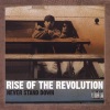 Rise of the Revolution - So Called Democracy