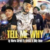 Mario Street、billy dean、Twista - Tell Me Why