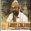 louie culture - Donkey Back