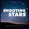 Aaron Davison - Falling Down (You Went Away)