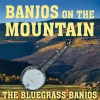 The Bluegrass Cardinals - Foggy Mountain Breakdown