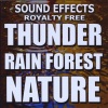 Sound Effects Royalty Free - Huge Lightning Bolt thunder Strike