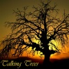 Talking Trees - Trip Hope