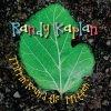 Randy Kaplan - Honk Honk