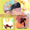 Andrea Pace - Sotto il peso
