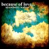 Strawberry Walrus - Because of Love