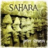 Peter Stevens - Sahara