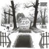 GDP - Insurgency