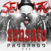 Sensato - Golpe de Estado