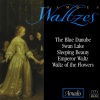 ondrej lenard、Bratislava CSR Symphony Orchestra - V. Waltz