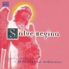 Scholars Baroque Ensemble、David van Asch - Salve Regina
