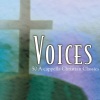 Various Artists - Holy Holy Holy