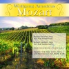Franz Bauer-Theussl、Wolfgang Amadeus Mozart、Various Artists - Horn Concerto No.3 in E-Flat Major, K.447: I. Allegro moderato