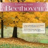 Ludwig van Beethoven、Various Artists《String Quartet No.8 in E Minor, Op. 59/2 