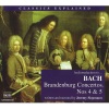 Jeremy Siepmann - Brandenburg Concerto No. 4 in G: The Brandenburgs as concerti grossi