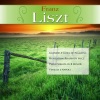 Classical Artists、Various Artists - Grandes Etudes de Paganini: No. 1: in G Minor - Preludio (Il tremolo)