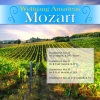 Joseph Kreutzer、London、Wolfgang Amadeus Mozart、Various Artists - Symphony No.31 in D Major, K.297 