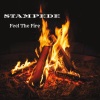 Stampede - Feel the Fire