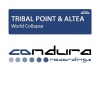 Altea、Tribal Point - World Collapse (Original Mix)