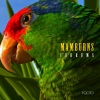 10Drums - Mamburns (Original Mix)