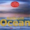 Johann Kotze《An Ambient Ocean (Deep Mind)》[MP3/LRC]