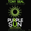 Tony Seal - After Dreams (Original Mix)