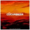 Cucumbers - Take Care Of Love (Original Mix)
