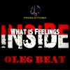 Oleg Beat《What Is Feelings Inside (Original Mix)》[MP3/LRC]